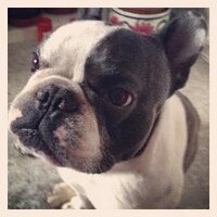 Claire Henery (@clairehenery) 's Twitter Profile