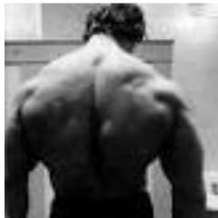 Antoha_Petroff's profile picture. 