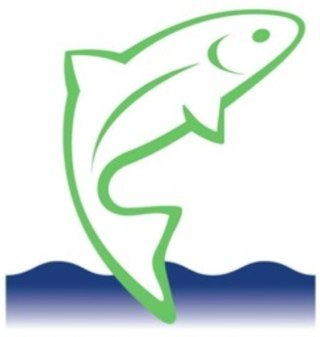 WItrout's profile picture. 