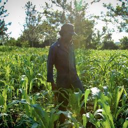 growstrongkenya's profile picture. Local food, Global Benefit.