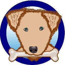 Supporting Shelter Dogs in Southeastern PA and Beyond