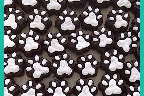 DogAccesories's profile picture. Vendemos accesorios para el consentido del hogar encontraras lazos, collares, chapas y muchas otras cosas. Estamos ubicados en Barquisimeto Edo. Lara Venezuela