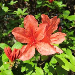 donko_donko's profile picture. ３０代主婦 お酒大好き