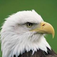 jhimchak's profile picture. College Basketball, Football, Baseball, APBA, Star Trek, Star Wars, Lord of the Rings, Hobbit, US History, Politics, World History, Teacher