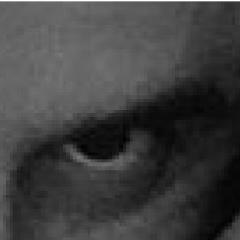 bozkurtmamati's profile picture. 