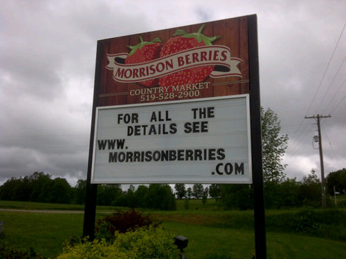 Morrison Berries Country Market located on Hwy 86 East of Lucknow. You're Family Farm Adventure
