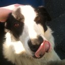 Caleb Canning - @CalebCanning01 - Twitter