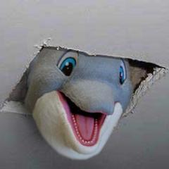 FappyTheDolphin's profile picture. Fappy® is not happy, when you masturbate.