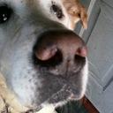 Barbara Muncy - @barbmag1 - Twitter