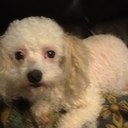 Peggy berry - @plberry1615 - Twitter