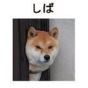 柴田 拓海 (@1024Shibataku) Twitter
