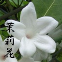 Grant Mccray - @GrantMccray4 - Twitter