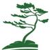 Cedar CA (@cedarcatsat) Twitter profile photo