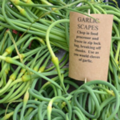 FlavourTrails's profile image