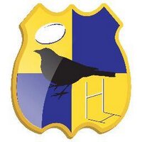 Rathdrum Rugby Club (@rathdrumrfc) 's Twitter Profile
