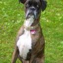 Everett Foley - @Everett78 - Twitter