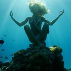 Dzlayer's profile picture. Between the idea and reality, between the motion and the act, falls the Shadow