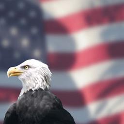 CapeInjuryLaw's profile picture. Goldberg and Weigand, LLP a Cape Cod Personal Injury Attorney, Specializing in Auto Accidents, Slip and Falls, Workers Compensation, and Personal Injury Cases.