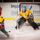 Cole Friedman - @ColeFriedman34 - Twitter