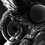 Masturbathory's profile picture. If your spirit animal is a dolphin, you're probably a rapist.