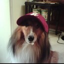 Paul Robinette - @paulrobinette10 - Twitter