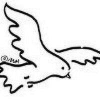 Melda Akbas (@melda_akbas) Twitter profile photo