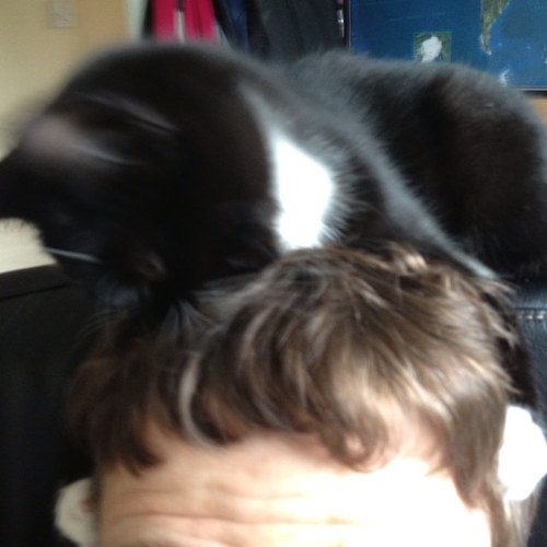 NLP researcher & Computer Science Lecturer at Lancaster University. / email filter node. Personal account: @al586