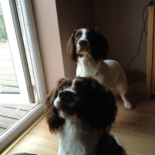 LowricoxMichael's profile picture. 