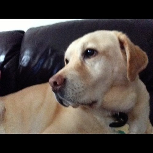 LesleyAnnWoodbr's profile picture. 