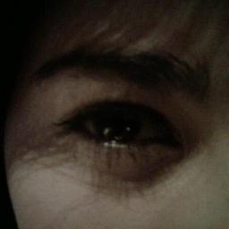 lusaldivar's profile picture. El amor era verde y se lo comió una vaca #okno