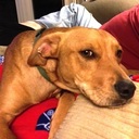 Carol Box - @CarolBox2 - Twitter