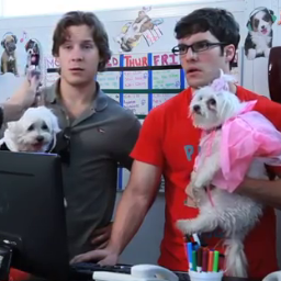 Dan & Jason work at a Pet Hotel.
These are their adventures.
(Exclusively on YouTube!)