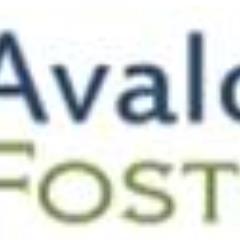 Avalon Foster is a strategic consulting firm specializing in corporate learning, and organizational development.