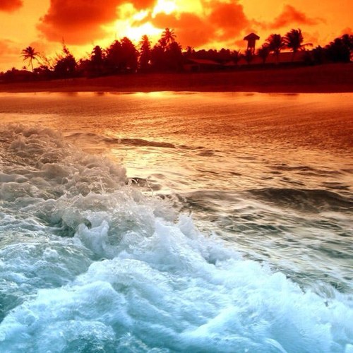 robervidallosa's profile picture. 