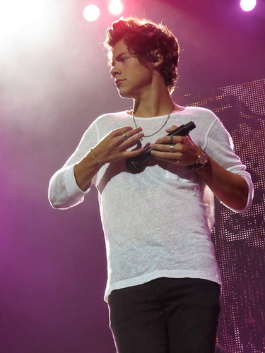 This page was started by two very torn girls. It is a page dedicated to thank Harry Styles and One Direction for saving our lives!