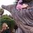 Laura_IBG's profile image