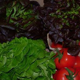 We are a citizens’ group working with communities, organizations, and governments to counsel on the development of policy ensuring equitable access to good food