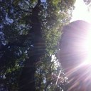 Preston Ross  - @kobeross39 - Twitter