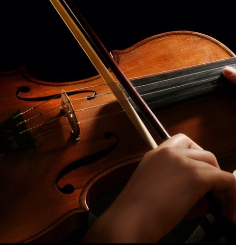 Proffessional Violinst, Cellist, and Guitarist