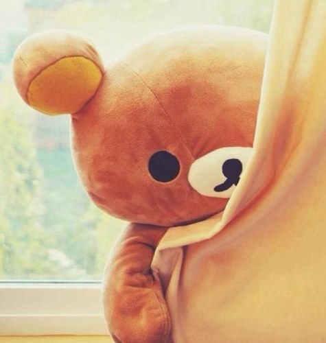 mros12908419's profile picture. I am 12.I love music!