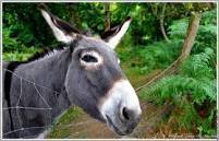 g1ZERRR's profile picture. 