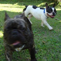 marciomcc's profile picture. Agora também no Twitter