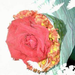 deboranny's profile picture. Estudiante de Nutrición y dietetica  LUZ