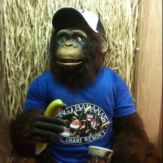 davidson_drew's profile picture. 