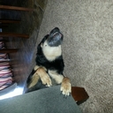 Nicholas Agosta - @nva42 - Twitter