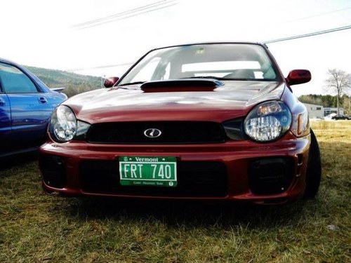 trust noone drive fast cars