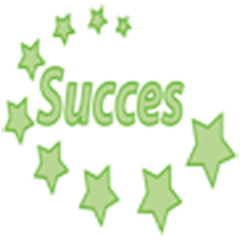 succeskoeriers's profile picture. 