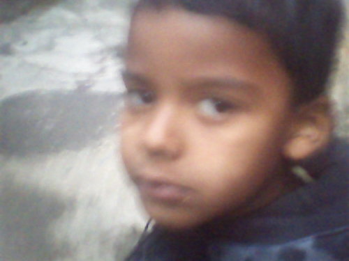 eu sou zika