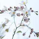 lina marcela anaya v - @Rosiluz9V - Twitter