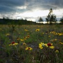 Eric Ashley - @SpokanePhotos - Twitter